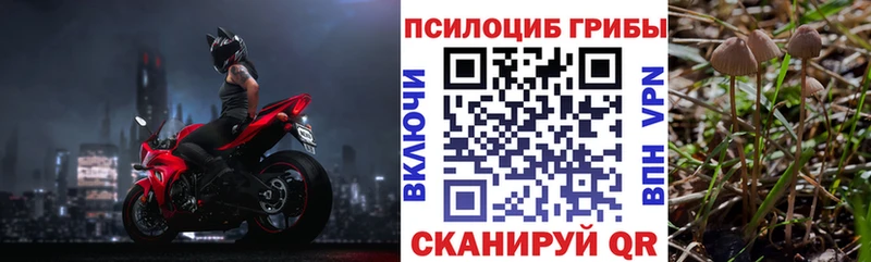 Галлюциногенные грибы мухоморы  Куровское 